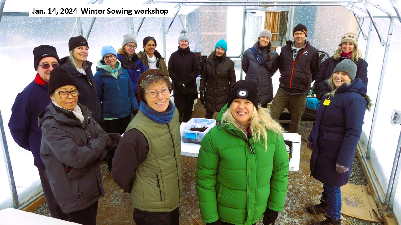 Winter sowing